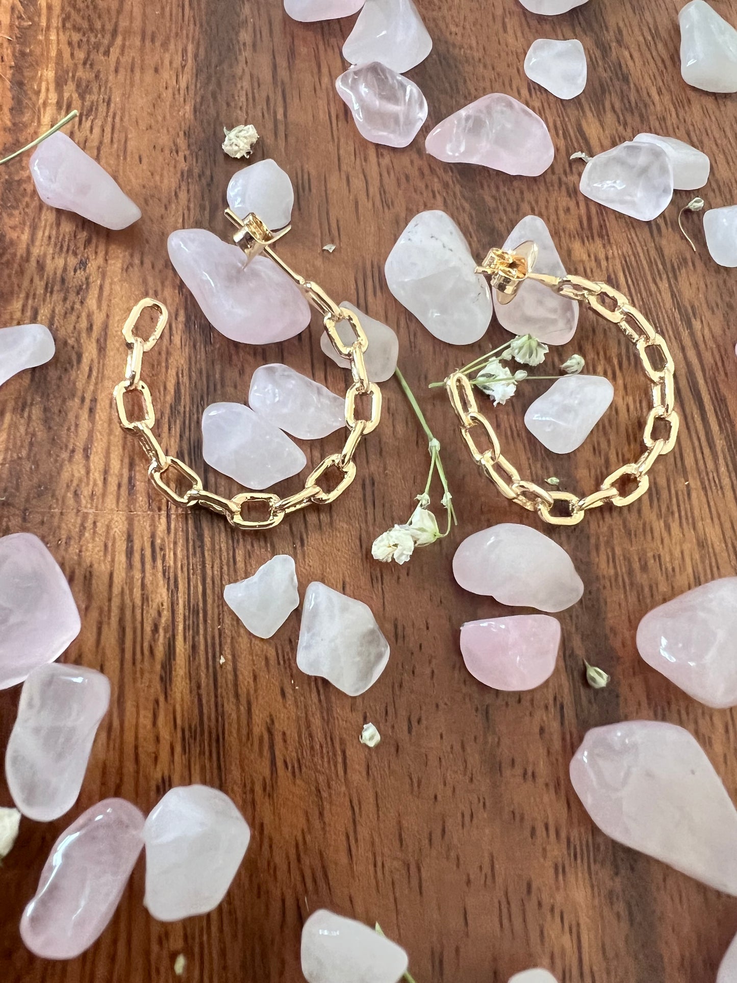 Hoop Chain Design Earring