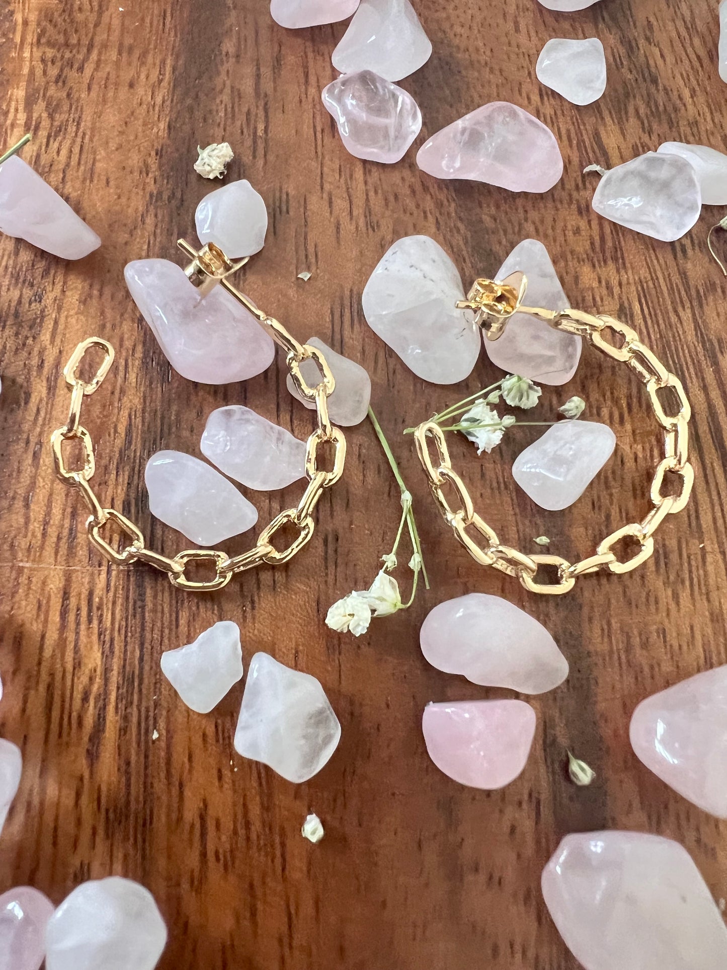 Hoop Chain Design Earring