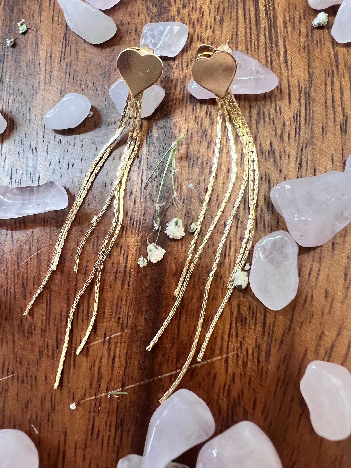 Heart Tassel Designed Earrings