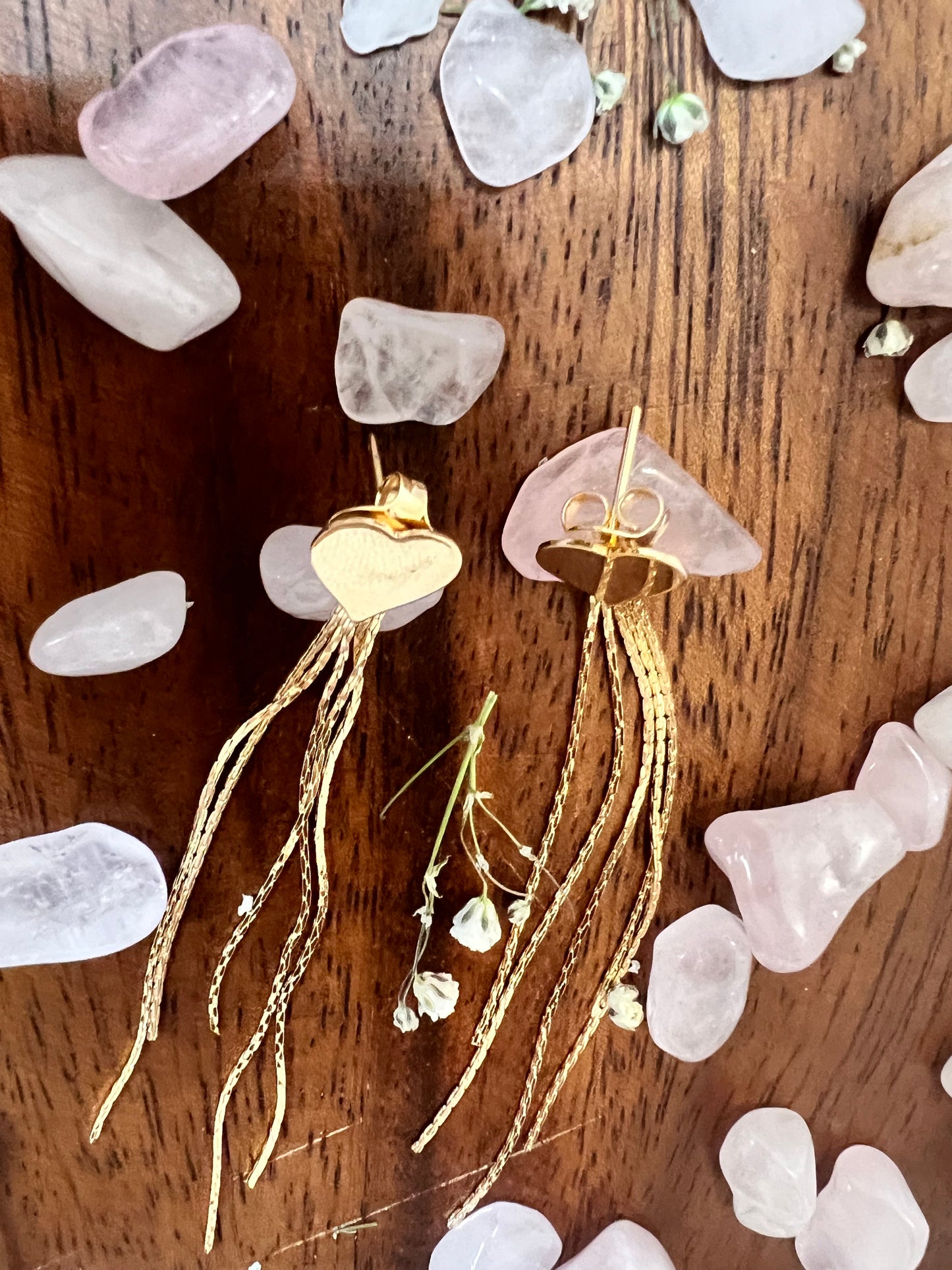 Heart Tassel Designed Earrings