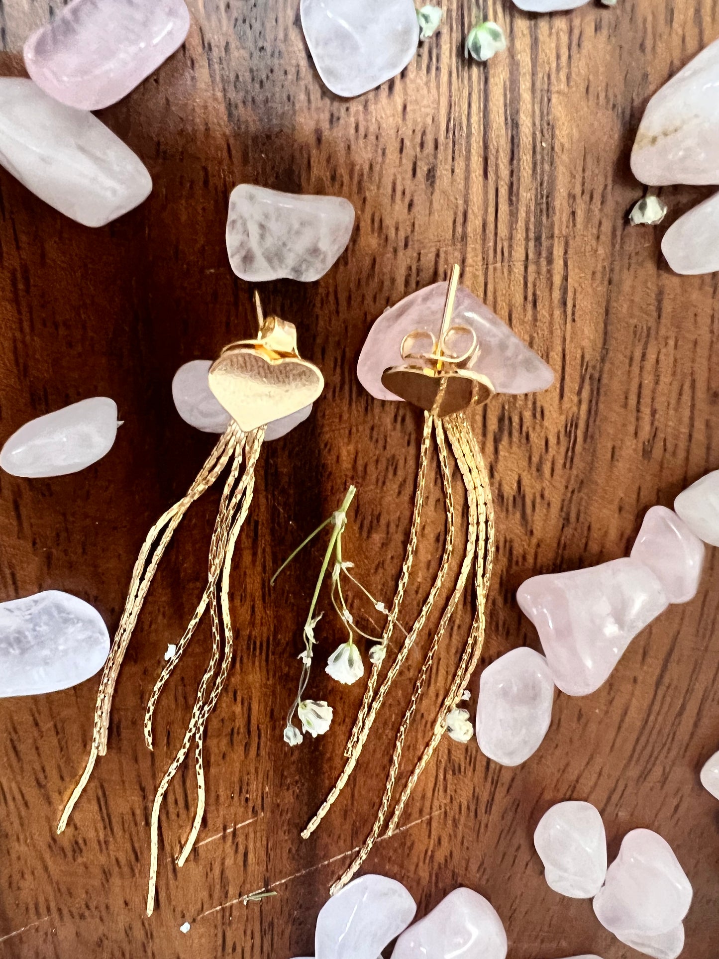 Heart Tassel Designed Earrings